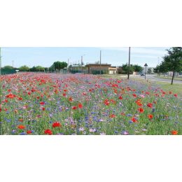 EURONATURE FLORE FRANCAISE